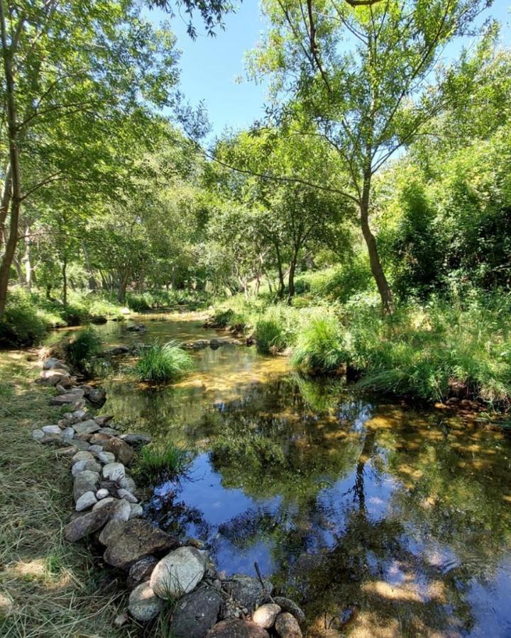 Hotel Ribera Del Corneja Navacepedilla de Corneja Kültér fotó