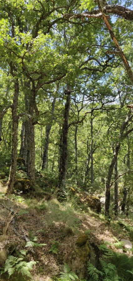 Hotel Ribera Del Corneja Navacepedilla de Corneja Kültér fotó